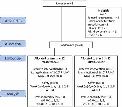 Immune Profiles Identification by Vaccinomics After MVA Immunization in Randomized Clinical Study